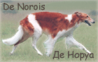 kennel De Norois